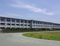 eiko