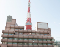 shiba_i