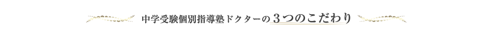 中学受験個別指導塾ドクターの3つのこだわり