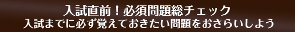 入試問題総チェック