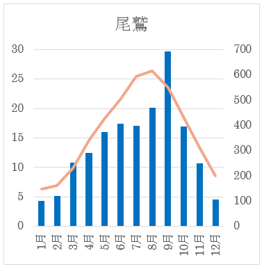 雨温図　10