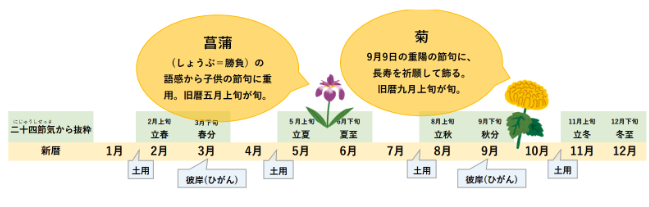 菖蒲と菊の説明