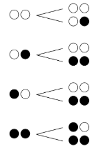 4パターンの枝分かれ