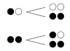 枝分かれした図