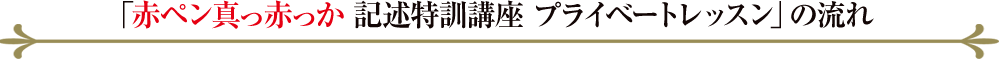 「赤ペン真っ赤っか 記述特訓講座 プライベートレッスン」の流れ