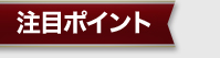 注目ポイント