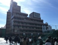 shiba_2019h