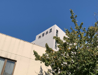 ouin_2019s_1