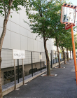 seijo_2020w